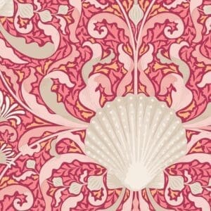 Scallop Shell Coral