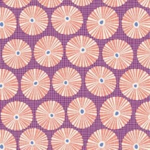 Limpet Shell Lilac