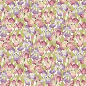 Iris Muriel