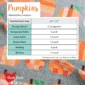 Pumpkins_Back