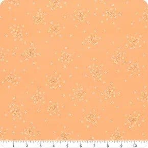 Arcadia Starburst ORANGE