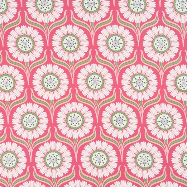 pop daisy raspberry