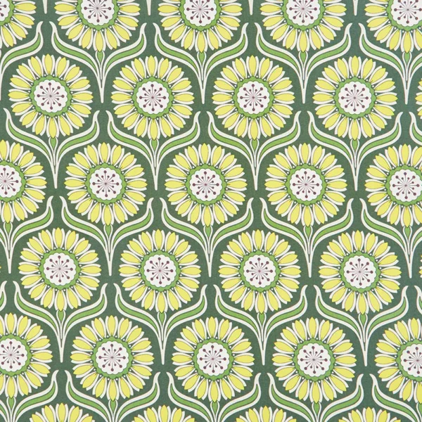 pop daisy spruce