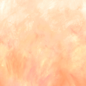 Sky Ombre SHELL