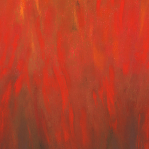 Sky Ombre TIGER LILY