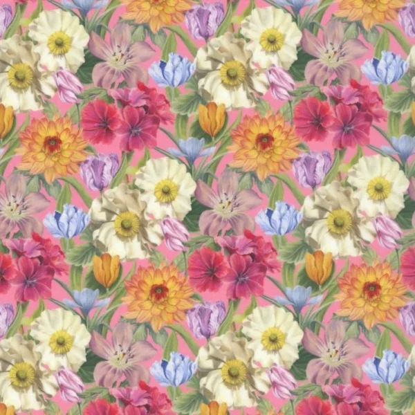 melody blooms b melody blooms b