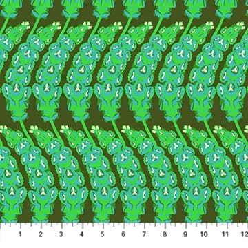 Bells of Ireland Moss Bells of Ireland Moss