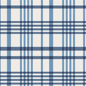 Happy Plaid Sky Flannel