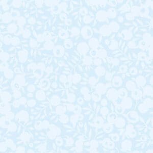 Wiltshire Shadow Cloud