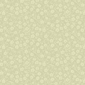 August Meadow Gooseberry A