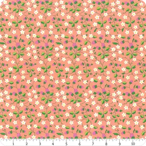 Gifts from the Garden Strawberry Picking A