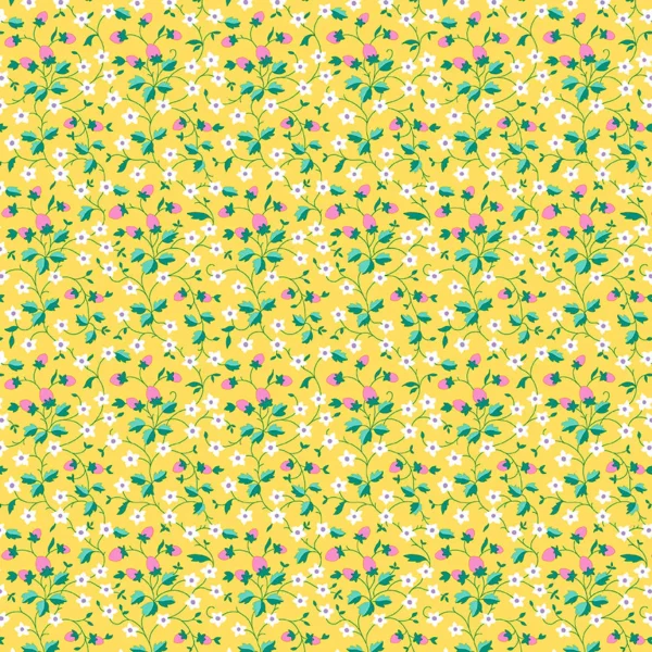 Strawberry Picking B Strawberry Picking B