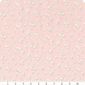 Everlasting Tumbling Daisy B