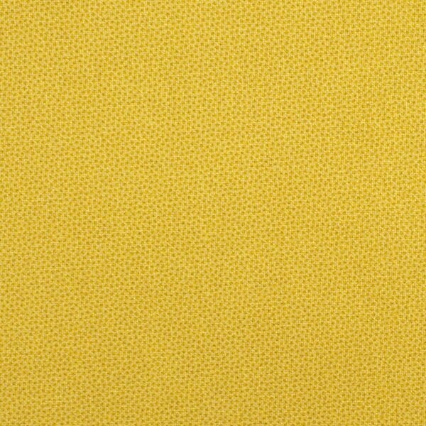 DHER1503-DAFFODIL