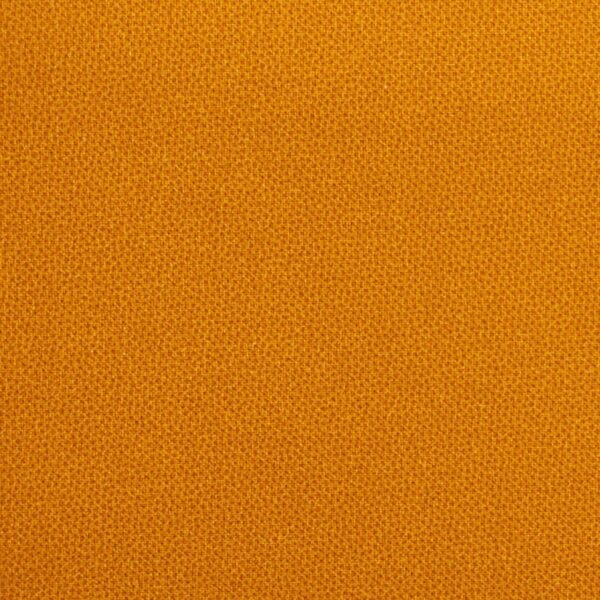 DHER1503-GINGER