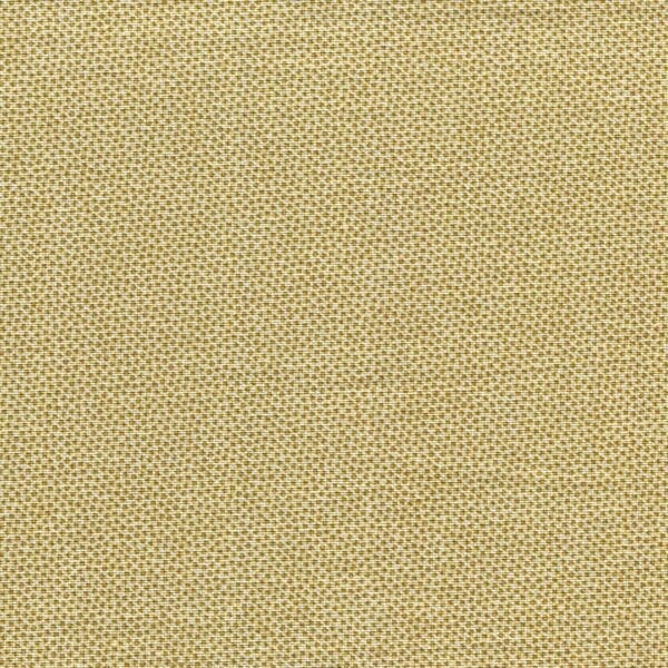 DHER1503-HONEY